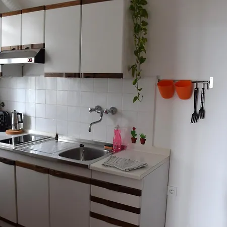 Apartmán Fink *
